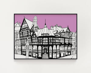 Chester rows pink print